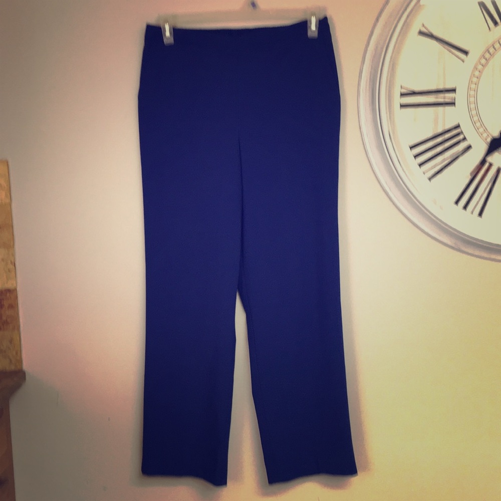 Alfred Dunner Straight Flat Front Pants